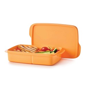 Tupperware Eco+ Lunch-it Large Container sOrange Taffy Lunch and Snacks | MAL075693