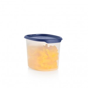 Tupperware One Touch Fresh Oval 4 1/2-cup/1.1 L Nocturnal Sea Refrigerator Storage | ZUP175398