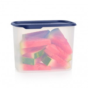 Tupperware One Touch Fresh Rectangular 18 1/2-cup/4.4 L Nocturnal Sea Refrigerator Storage | ENK523741