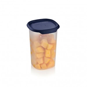 Tupperware One Touch Fresh Small Square 5 1/4-cup/1.25 L Nocturnal Sea Refrigerator Storage | ZSW629578