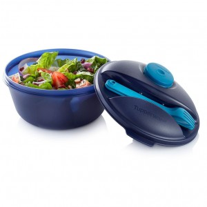 Tupperware Salad On The Go Set Peacock Lunch and Snacks | NDX279146