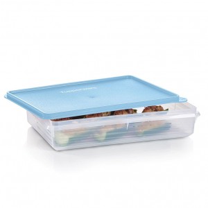 Tupperware Snack-stor Large Container Ice Cube Refrigerator Storage | SAV247619