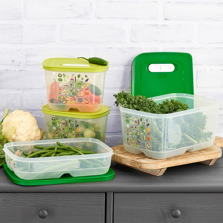 Tupperware Fridgesmart 4-pc. Starter Set Green / Deep Refrigerator Storage | VFZ495087