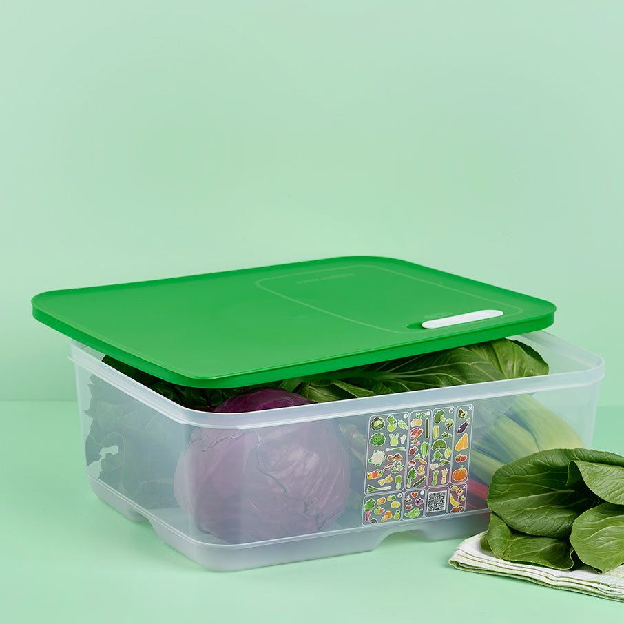 Tupperware Fridgesmart Extra Large Lettuce Leaf Refrigerator Storage | BFI851473