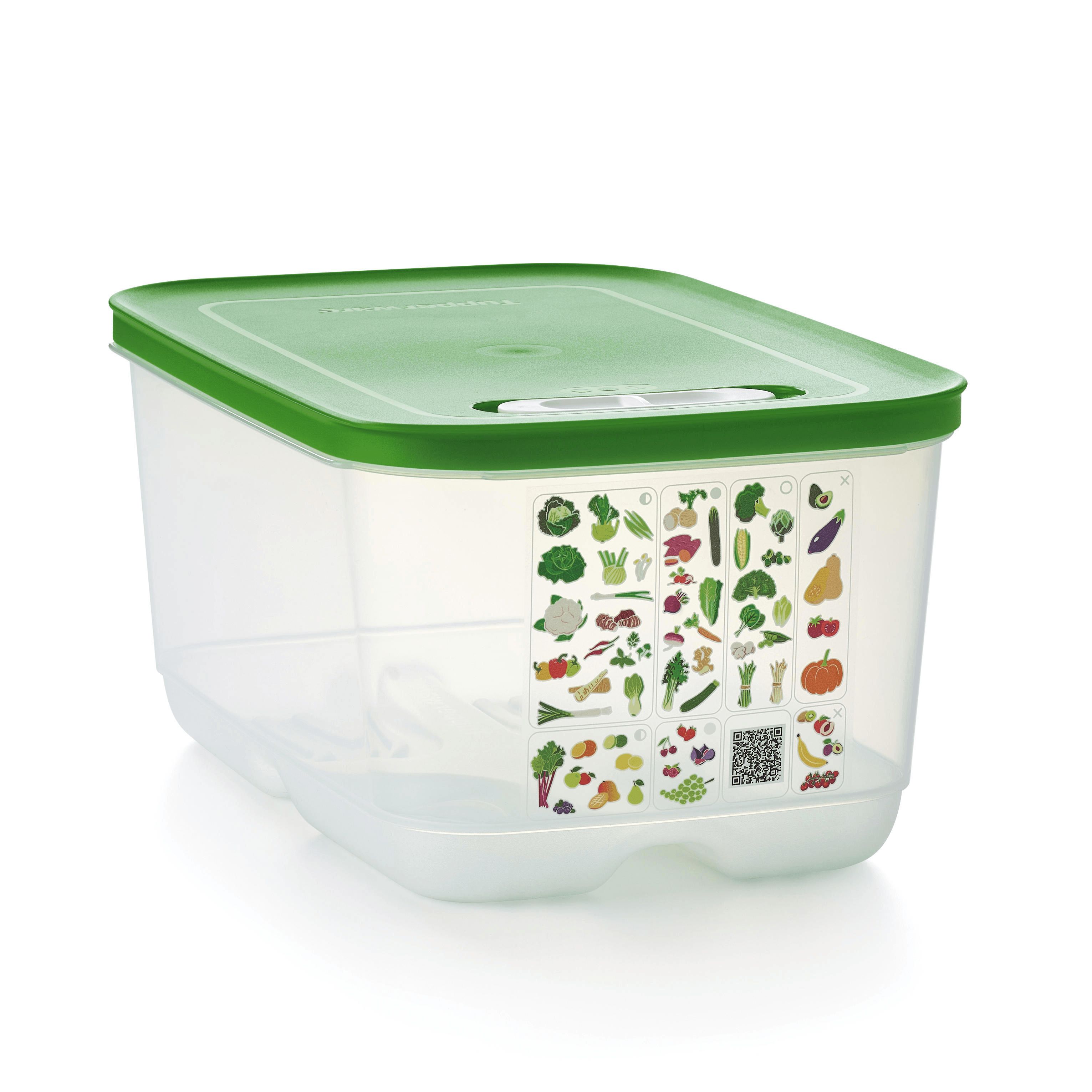 Tupperware Fridgesmart Medium Deep Green Refrigerator Storage | EKP742568