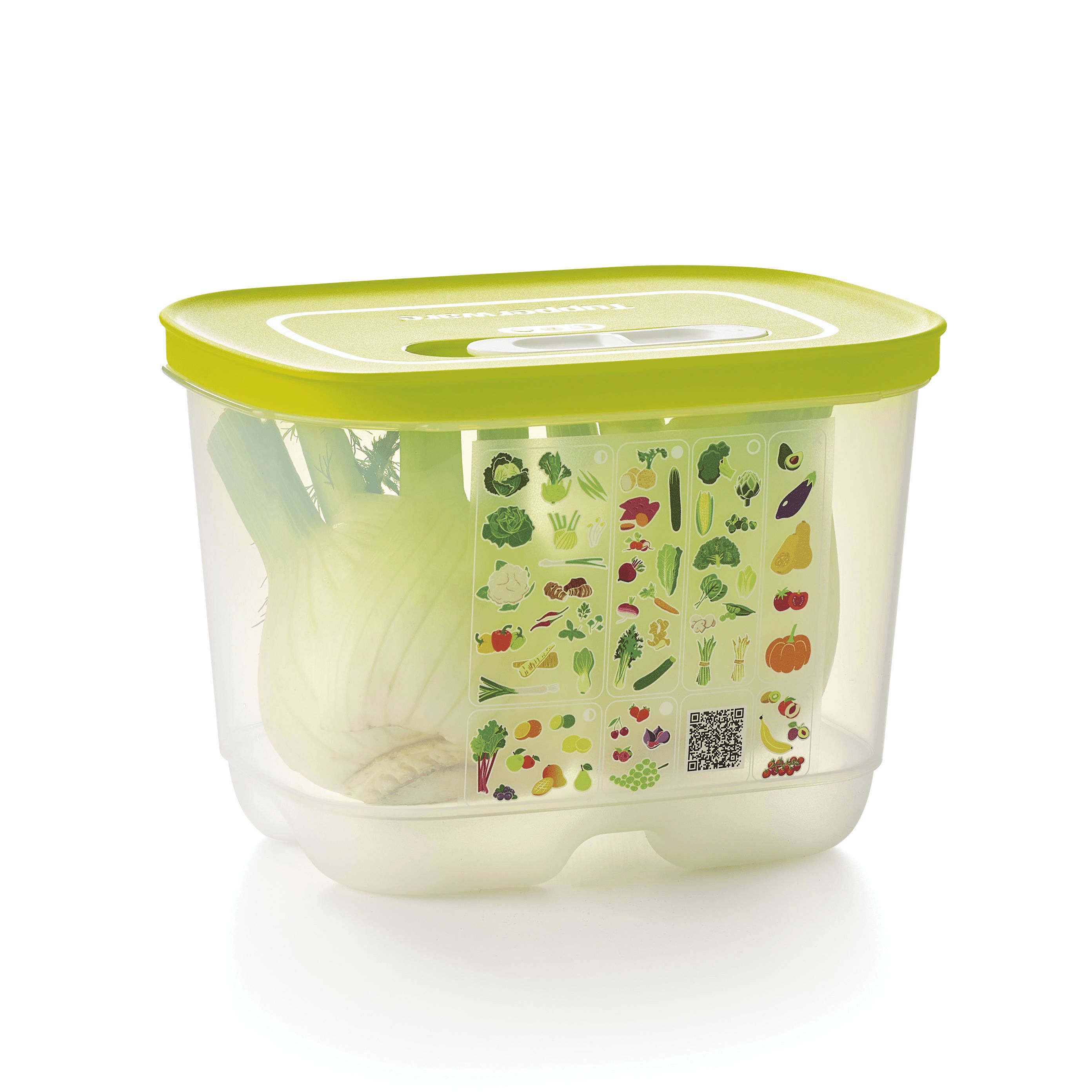 Tupperware Fridgesmart Small Deep Refrigerator Storage | YHG029456