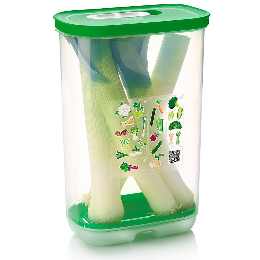 Tupperware Fridgesmart Vertical Green Refrigerator Storage | TLZ392054