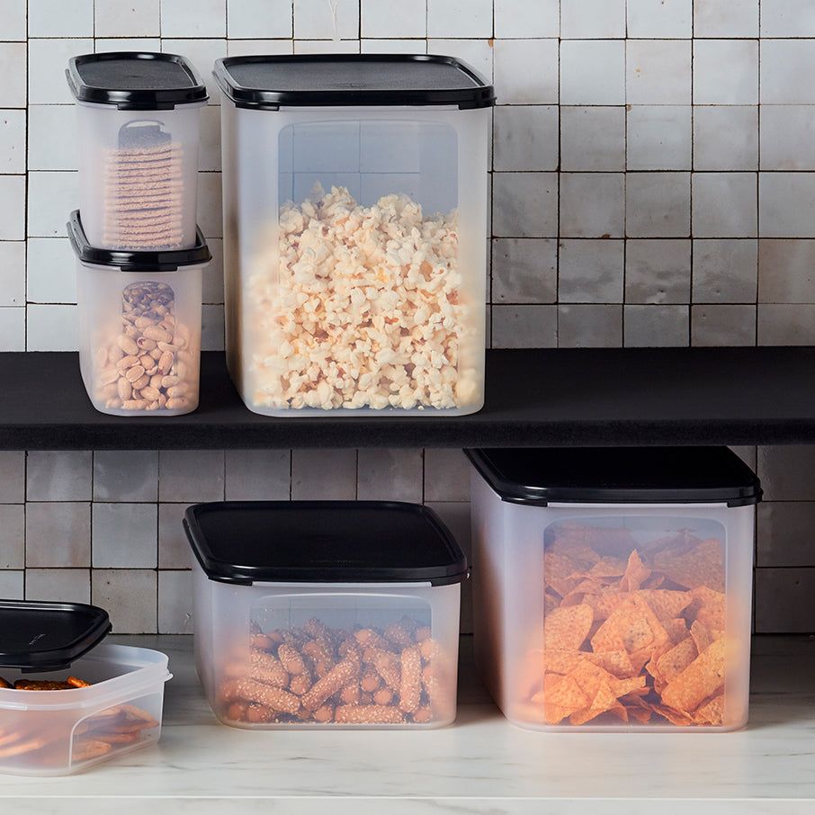 Tupperware Modular Mates Rectangular 2 Dry Storage | KGO269348