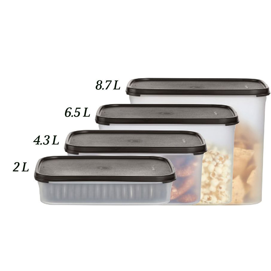 Tupperware Modular Mates Rectangular 2 Dry Storage | KGO269348