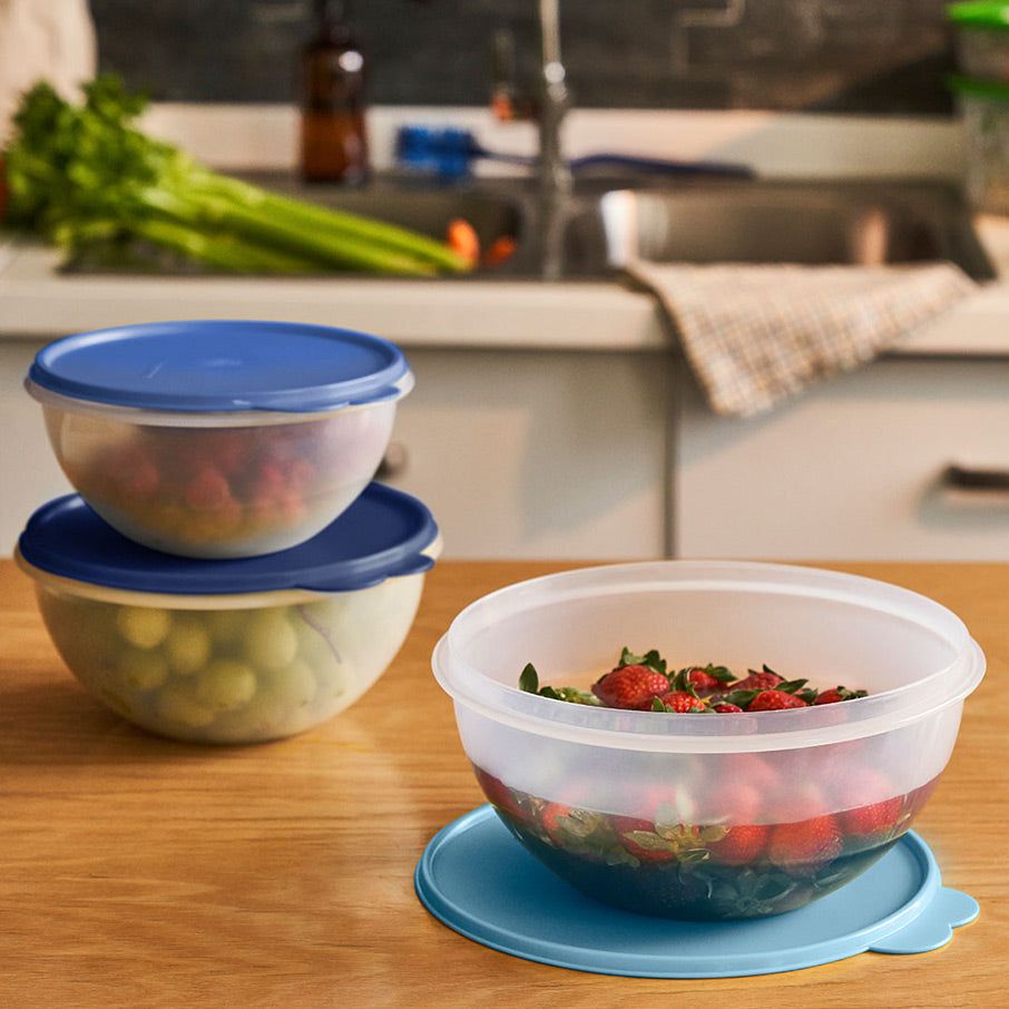 Tupperware Wonderlier Bowl 3-pc. Set sIce Cube Baking | DKB249105